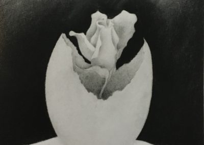 Ginger Gilmour, Illustrations from 'Under the Mango Tree'