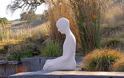 Contemplation