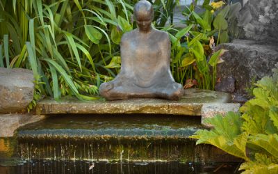 Contemplation