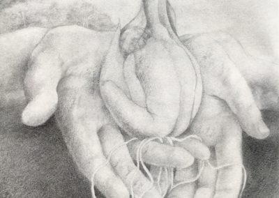 Ginger Gilmour, Illustrations from 'Before the Beginning'