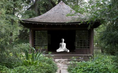 Japanese contemplation
