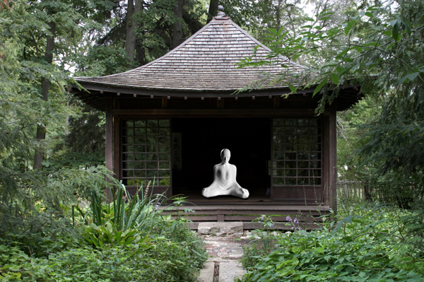 Japanese contemplation