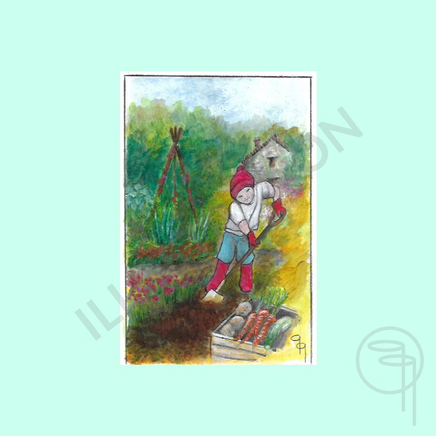 Redcap - Children's Book by June Lipka - Image 6